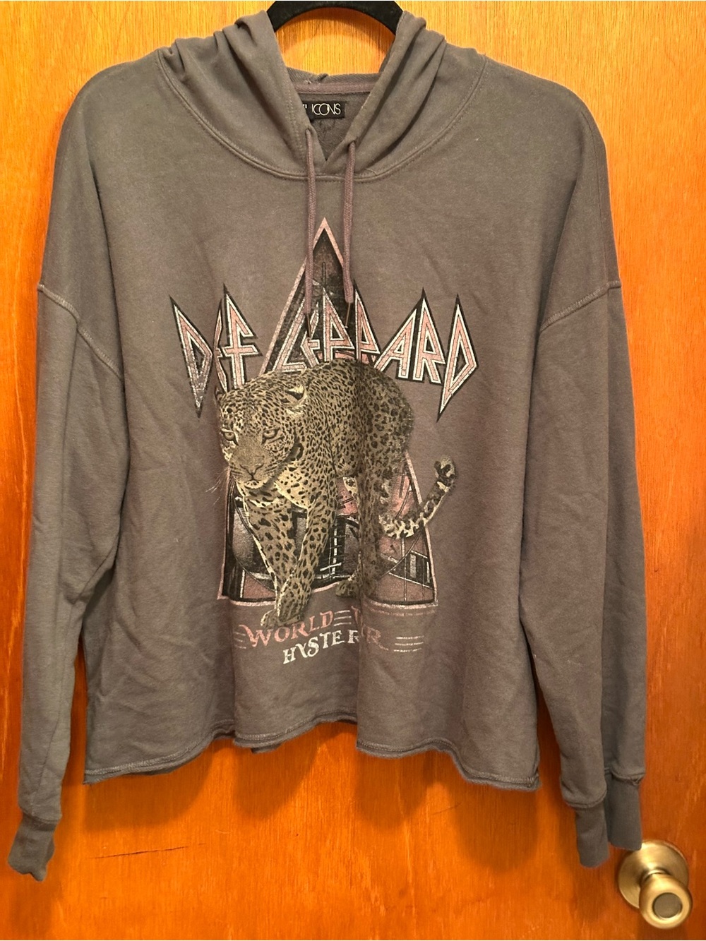 Def Leppard Gray Graphic Hoodie Sweatshirt